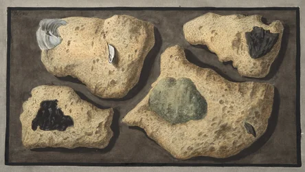 Okazy tufów z kamieniołomów w pobliżu groty Posillipo, tablica XXXXII, z „Campi Flegrei: Obserwacje wulkanów Dwóch Sycylii” Sir Williama Hamiltona (1730-1803), publikuje